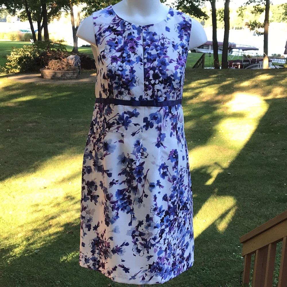 Beautiful Perceptions retro sleeveless dress 12